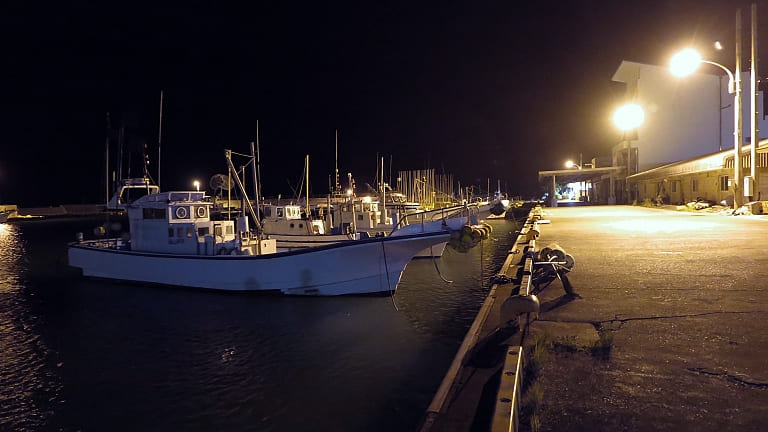 初心者向け アジングに常夜灯は不要 常夜灯がないポイントでのアジの狙い方