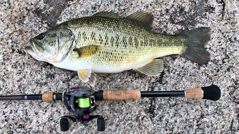 入門者向け シーバスにリアクションバイトなんて存在しない