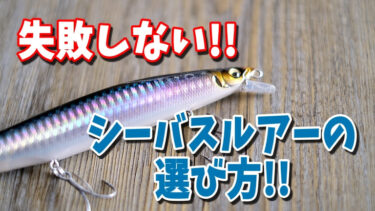 入門者向け 最初の１匹を獲るための失敗しないシーバスルアー選び