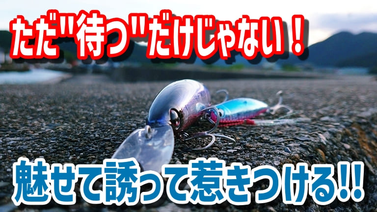 ゼロから始める 偶然を 待つ だけがルアーフィッシングじゃない 魅せて 誘って 惹きつける アクション を理解する 第１４回