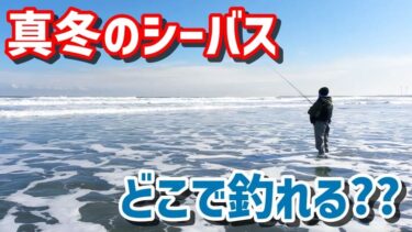 ゼロから始める 冬にシーバスが釣れない人の特徴と冬のシーバスの狙い方を理解する 第２０回