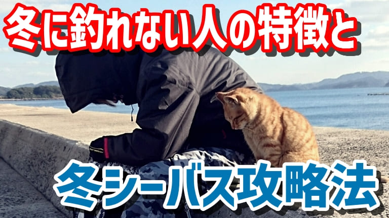 ゼロから始める 冬にシーバスが釣れない人の特徴と冬のシーバスの狙い方を理解する 第２０回