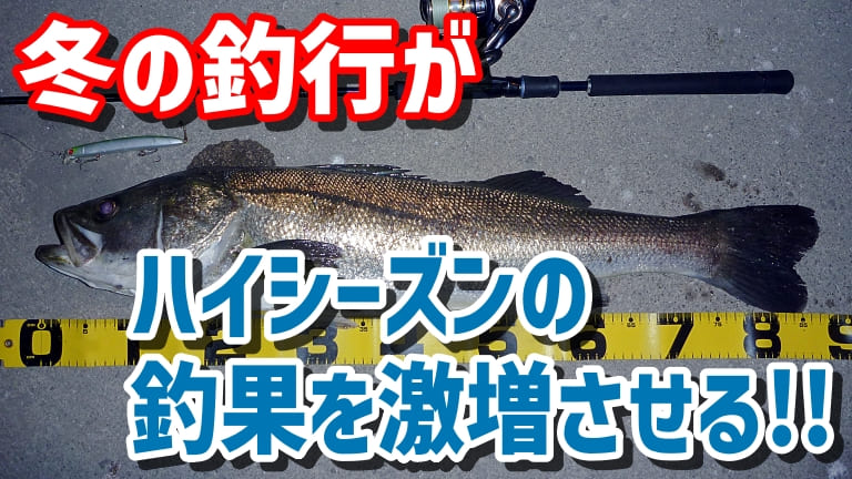 ステップアップ 冬の釣行がハイシーズンの釣果を激増させる 第１回